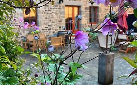 Domaine Du Tertre Ychot